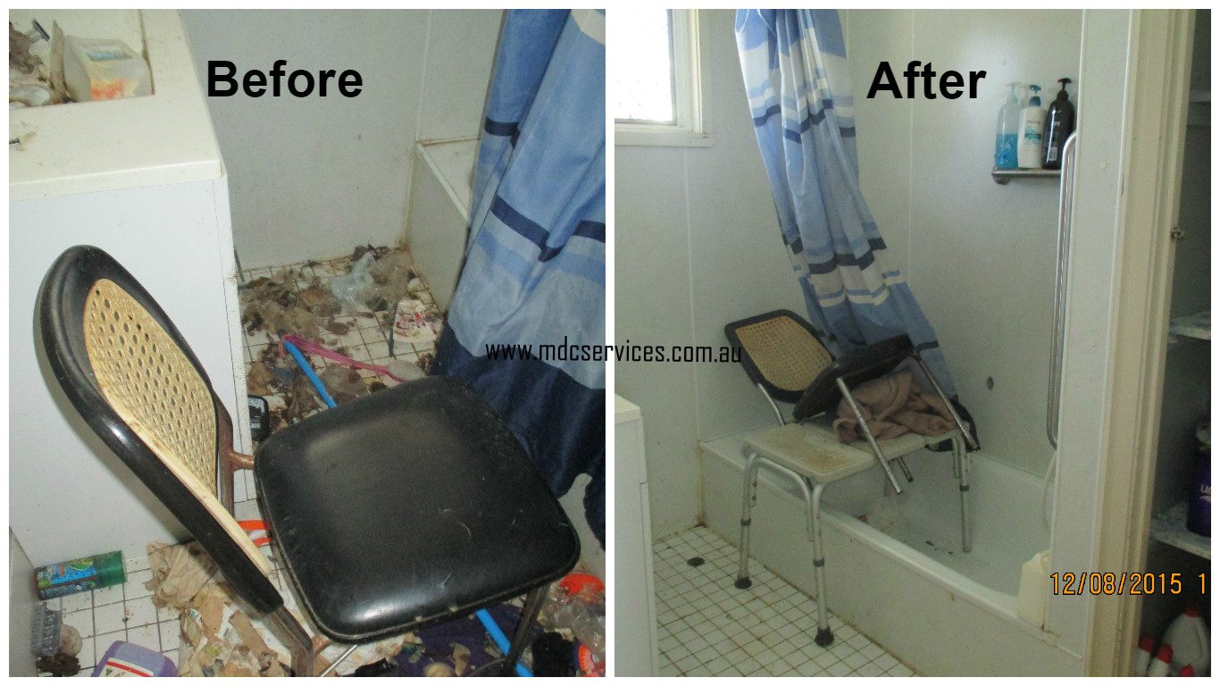 hoarding and squalor services