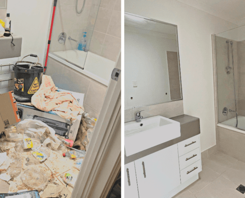 Hoarding Cleanup Before & After